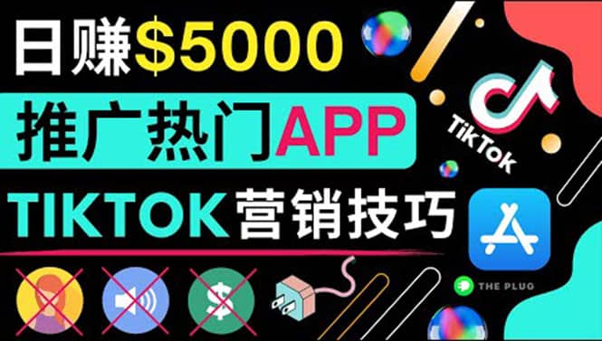无需露脸，无需录音，无需投资，TIKTOK上传短视频，最高日入5000美元-搜易资源网