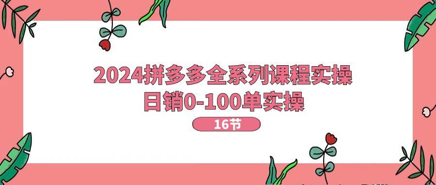 2024拼多多全系列课程实操，日销0-100单实操【16节课】-搜易资源网