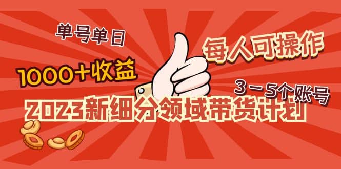 2023新细分领域带货计划：单号单日1000+收益不难，每人可操作3-5个账号-搜易资源网