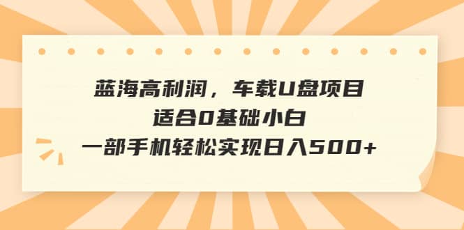 蓝海高利润，车载U盘项目，适合0基础小白，一部手机轻松实现日入500+-搜易资源网