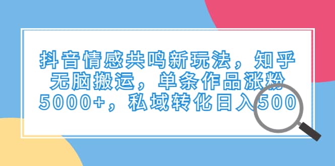 抖音情感共鸣新玩法，知乎无脑搬运，单条作品涨粉5000+，私域转化日入500-搜易资源网