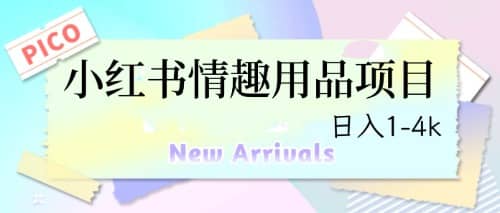 最新小红书情趣用品项目，日入1-4k-搜易资源网