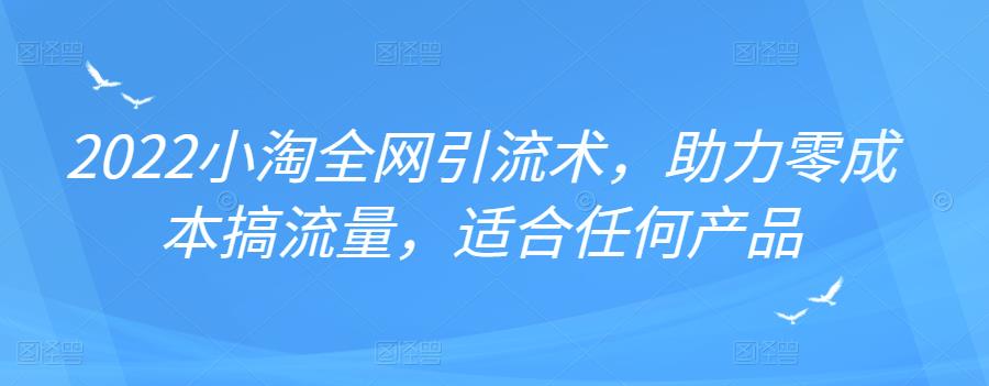 2022年小淘全网引流术，助力零成本搞流量，适合任何产品-搜易资源网