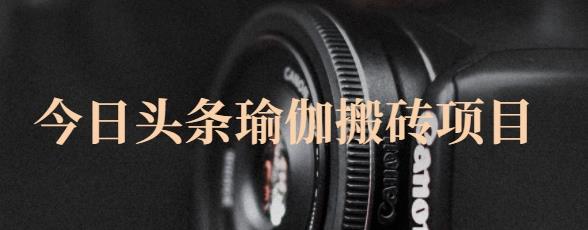 猎人社区·今日头条瑜伽搬砖项目，单号一天几十收入，可以批量操作！-搜易资源网