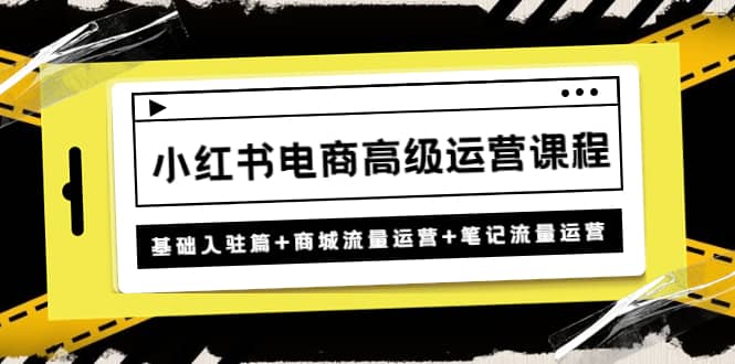 小红书电商高级运营课程：基础入驻篇+商城流量运营+笔记流量运营-搜易资源网
