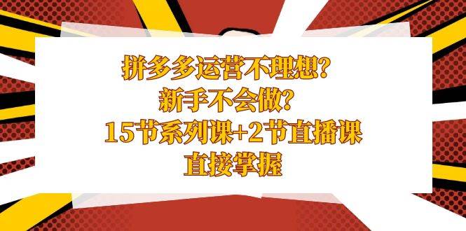 拼多多运营不理想？新手不会做？15节系列课+2节直播课，直接掌握-搜易资源网