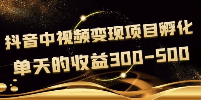 黄岛主《抖音中视频变现项目孵化》单天的收益300-500 操作简单粗暴-搜易资源网