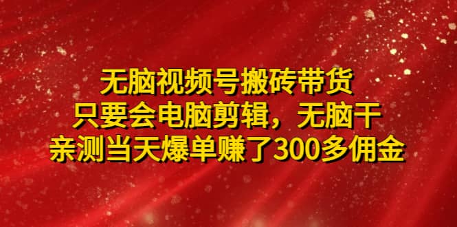 无脑视频号搬砖带货，只要会电脑剪辑，无脑干-搜易资源网