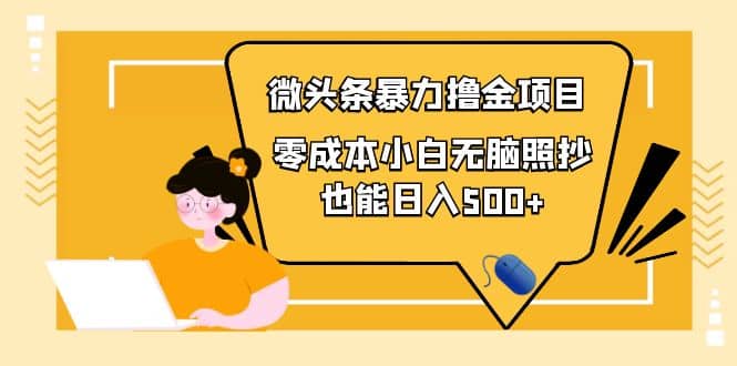 人人都能操作的微头条最新暴力撸金项目，零成本小白无脑搬运-搜易资源网