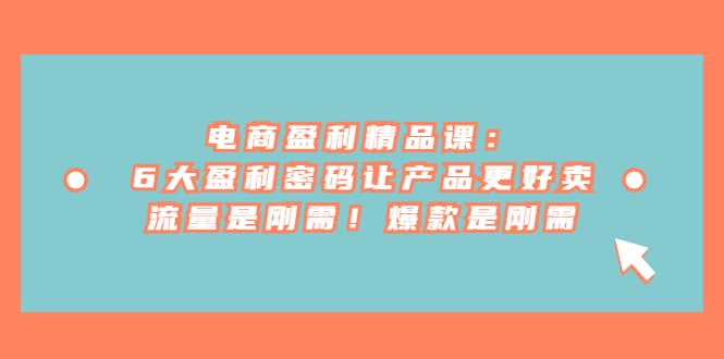 电商 盈利精品课：6大盈利 密码让产品更好卖，流量是刚需！爆款是刚需-搜易资源网