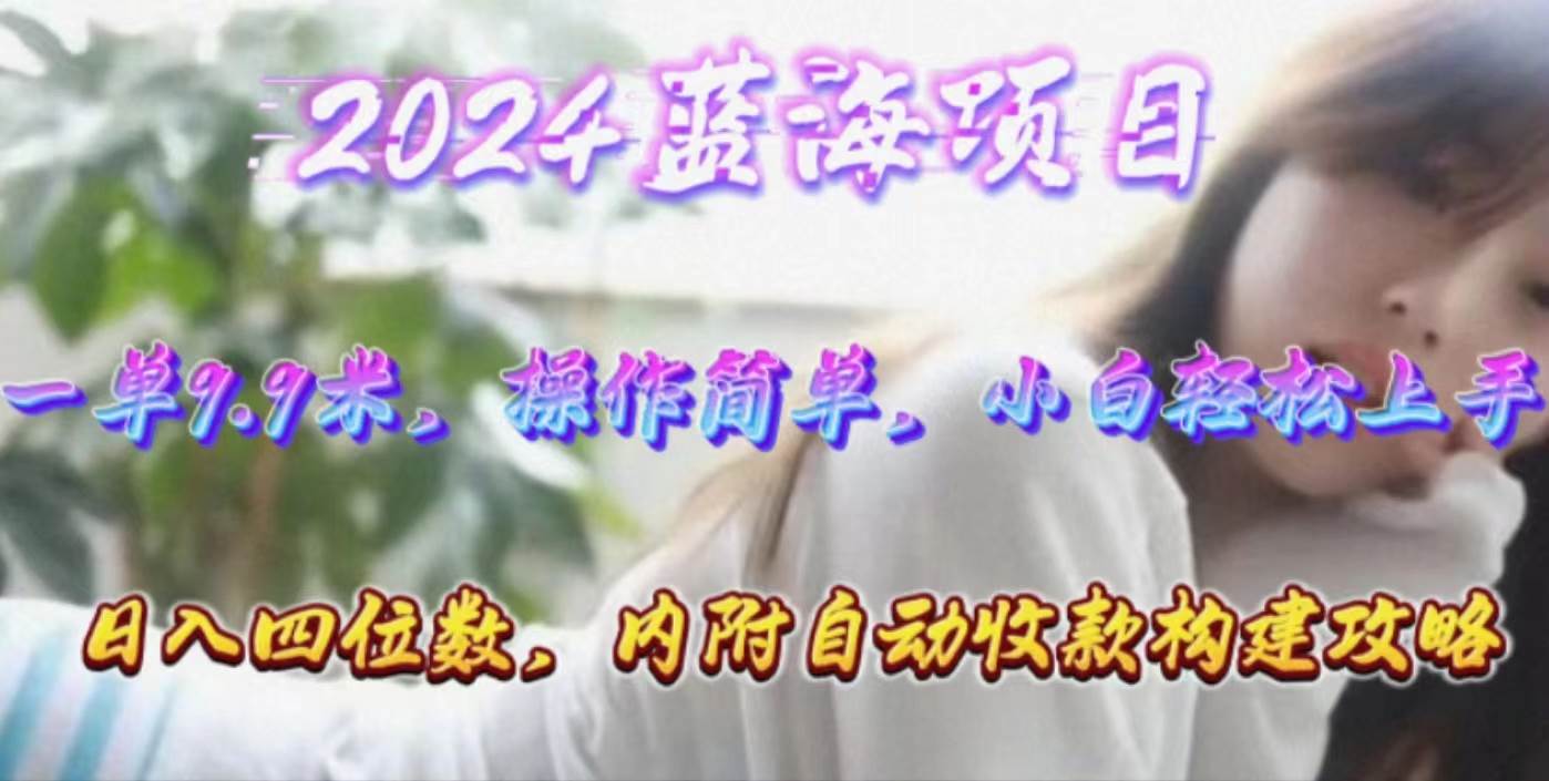年轻群体的蓝海市场，1单9.9元，操作简单，小白轻松上手，日入四位数-搜易资源网
