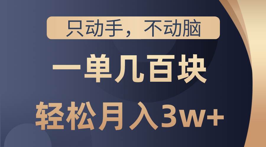 只动手不动脑，一单几百块，轻松月入3w+，看完就能直接操作，详细教程-搜易资源网