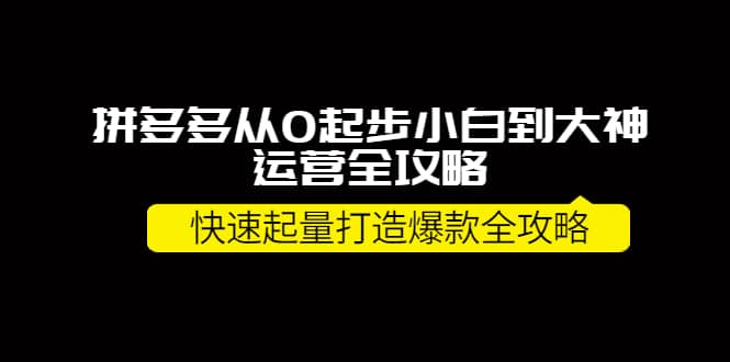 拼多多从0起步小白到大神运营全攻略-搜易资源网
