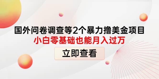 国外问卷调查等2个暴力撸美元项目，小白零基础也能月入过万-搜易资源网
