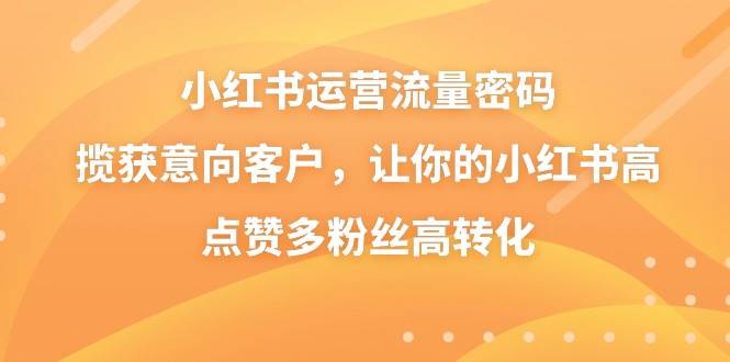小红书运营流量密码，揽获意向客户，让你的小红书高点赞多粉丝高转化-搜易资源网