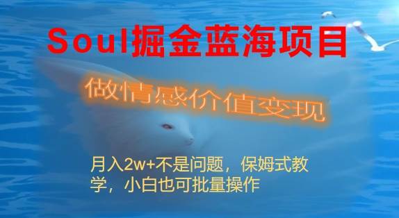 Soul掘金蓝海项目细分赛道，做情感价值变现，月入2w+不是问题-搜易资源网