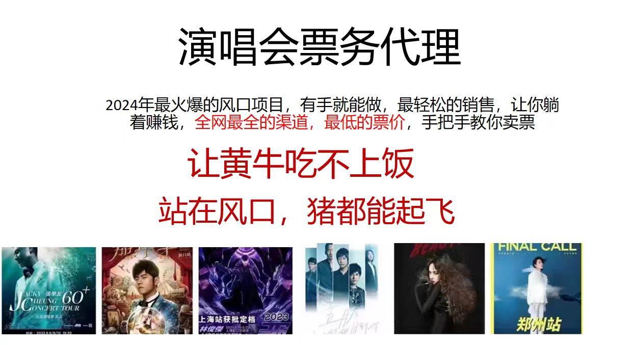 演唱会票务代理，2024年最火爆风口项目，全网最低的票价，小白一分钟上…-搜易资源网
