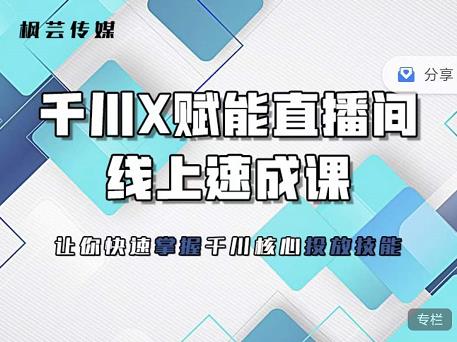枫芸传媒-线上千川提升课，提升千川认知，提升千川投放效果-搜易资源网