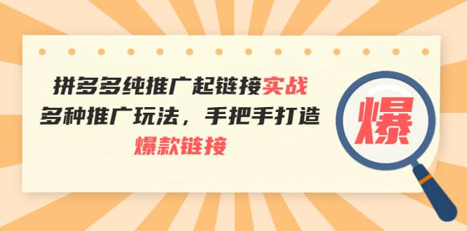 拼多多纯推广起链接实战：多种推广玩法，手把手打造爆款链接-搜易资源网