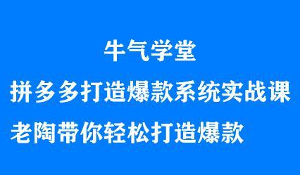 牛气学堂拼多多打造爆款系统实战课，老陶带你轻松打造爆款-搜易资源网