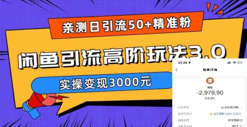 实测日引50+精准粉，闲鱼引流高阶玩法3.0，实操变现3000元-搜易资源网