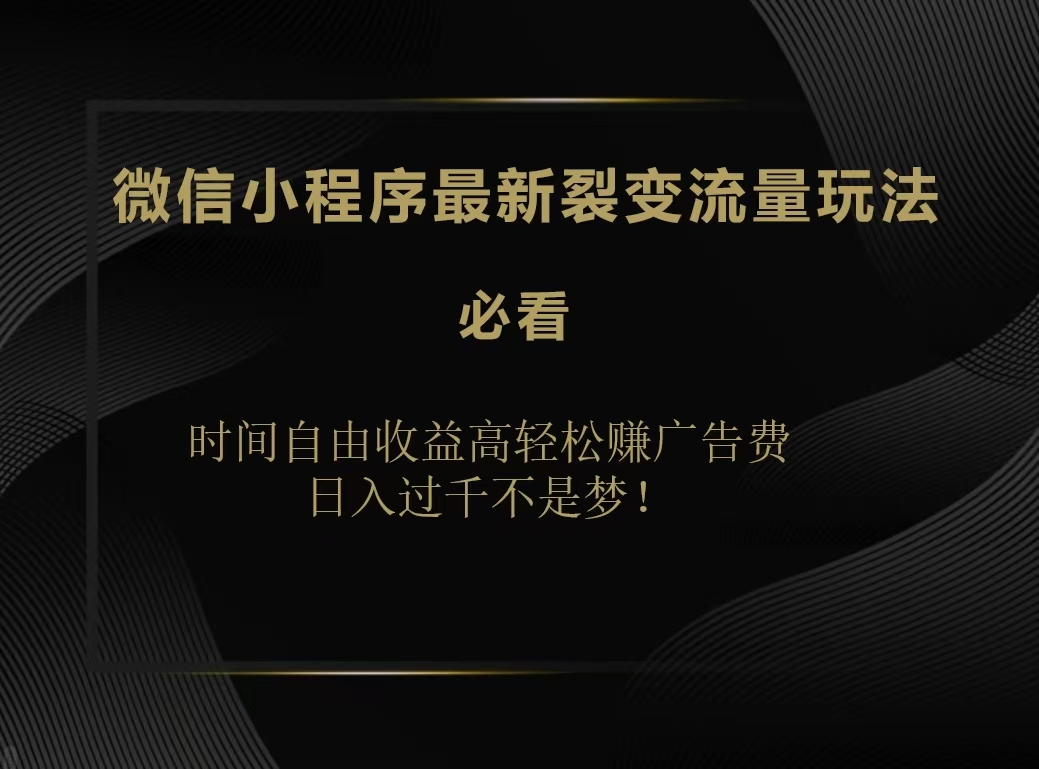 微信小程序最新裂变流量玩法，时间自由收益高轻松赚广告费，日入200-500+-搜易资源网