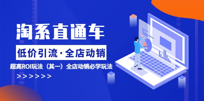 淘系直通车《低价·引流 全店·动销》超高ROI玩法（其一）全店动销必学玩法-搜易资源网