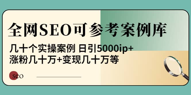 《全网SEO可参考案例库》几十个实操案例-搜易资源网