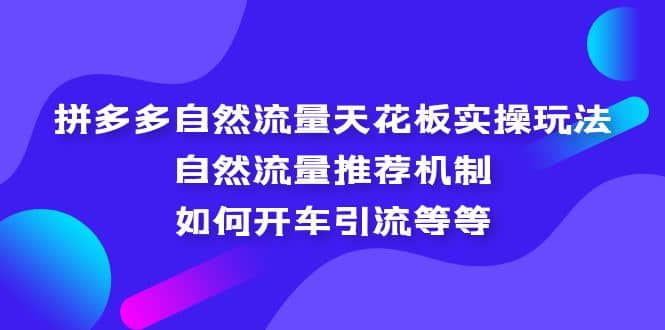 拼多多自然流量天花板实操玩法：自然流量推荐机制，如何开车引流等等-搜易资源网