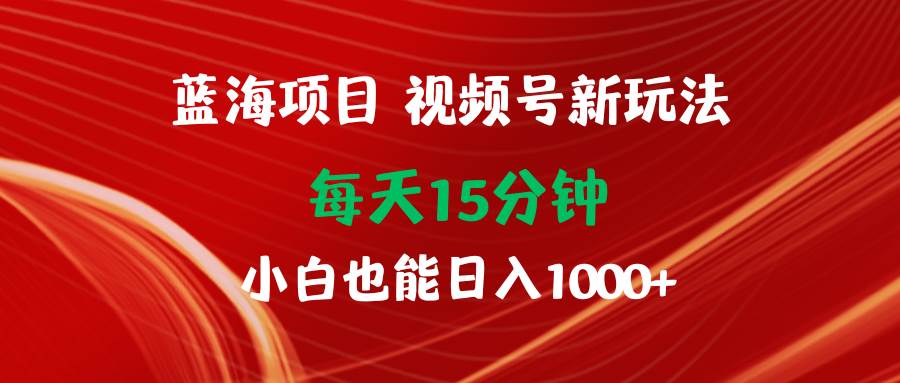 蓝海项目视频号新玩法 每天15分钟 小白也能日入1000+-搜易资源网