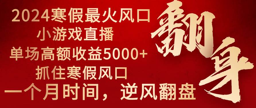 2024年最火寒假风口项目 小游戏直播 单场收益5000+抓住风口 一个月直接提车-搜易资源网