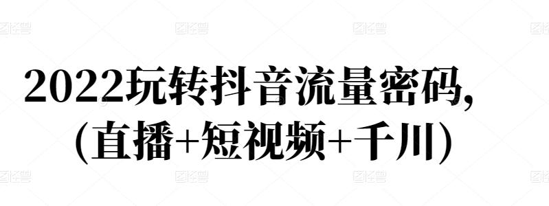 2022玩转抖音流量密码，(直播+短视频+千川)-搜易资源网