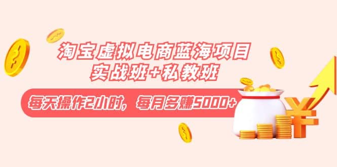 淘宝虚拟电商蓝海项目实战班+私教班-搜易资源网