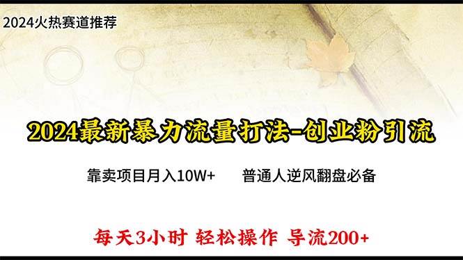 2024年最新暴力流量打法，每日导入300+，靠卖项目月入10W+-搜易资源网