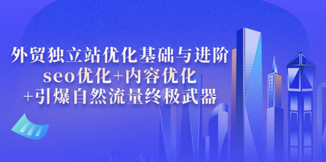 外贸独立站优化基础与进阶，seo优化+内容优化+引爆自然流量终极武器-搜易资源网