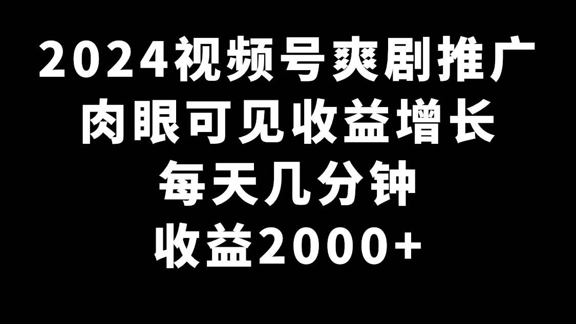 2024视频号爽剧推广，肉眼可见的收益增长，每天几分钟收益2000+-搜易资源网