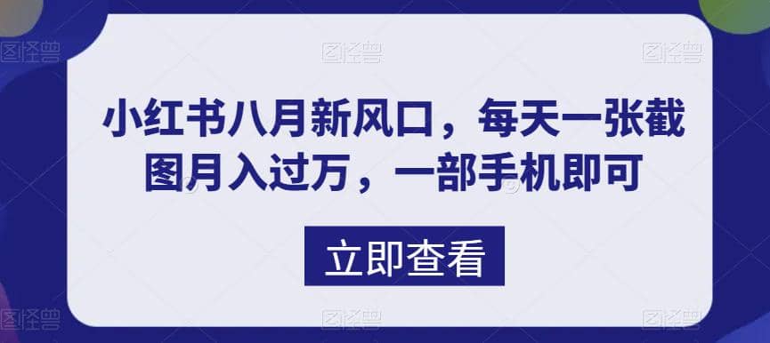 八月新风口，小红书虚拟项目一天收入1000+，实战揭秘-搜易资源网