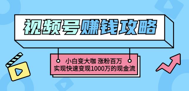 玩转微信视频号赚钱：小白变大咖涨粉百万实现快速变现1000万的现金流-搜易资源网