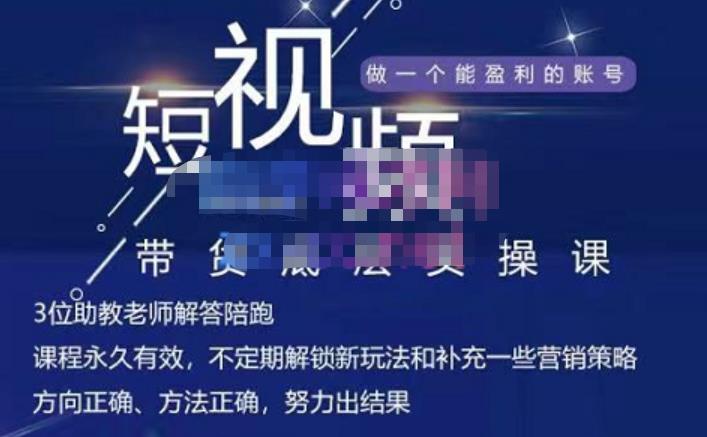 吴Sir·短视频带货底层实操课，教你如何选爆品、了解获短视频流量密码，正确起号-搜易资源网