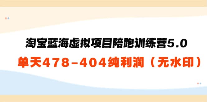 淘宝蓝海虚拟项目陪跑训练营5.0：单天478纯利润（无水印）-搜易资源网