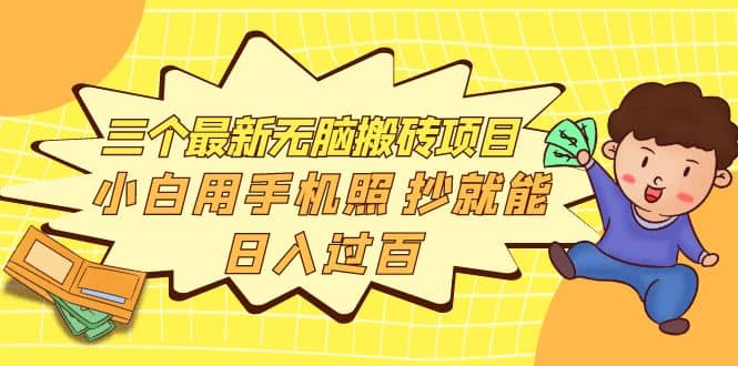 三个最新无脑搬砖项目，小白用手机照抄就能日入过百-搜易资源网