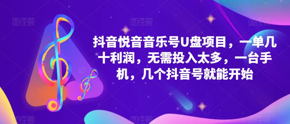 抖音音乐号U盘项目 一单几十利润 无需投入太多 一台手机 几个抖音号就开始-搜易资源网