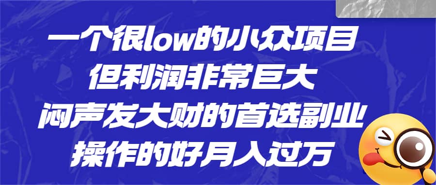 一个很low的小众项目，但利润非常巨大，闷声发大财的首选副业，月入过万-搜易资源网