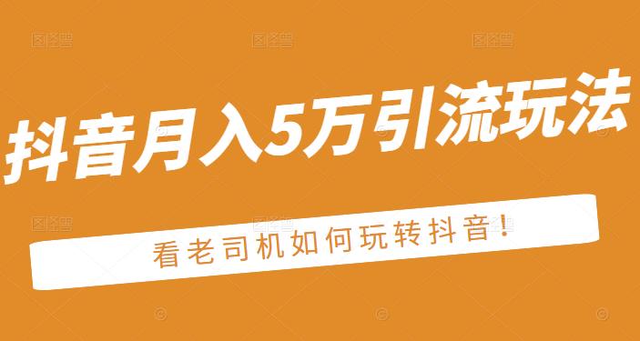 老古董·抖音月入5万引流玩法，看看老司机如何玩转抖音(附赠：抖音另类引流思路)-搜易资源网