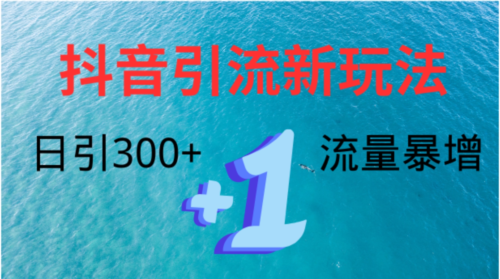 创业粉高效引流，抖音工具号玩法4.0，日引300+-搜易资源网