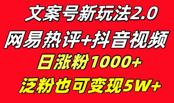 文案号新玩法 网易热评+抖音文案 一天涨粉1000+ 多种变现模式 泛粉也可变现-搜易资源网