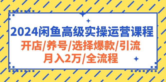 2024闲鱼高级实操运营课程：开店/养号/选择爆款/引流/月入2万/全流程-搜易资源网