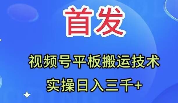 全网首发：视频号平板搬运技术，实操日入三千＋-搜易资源网