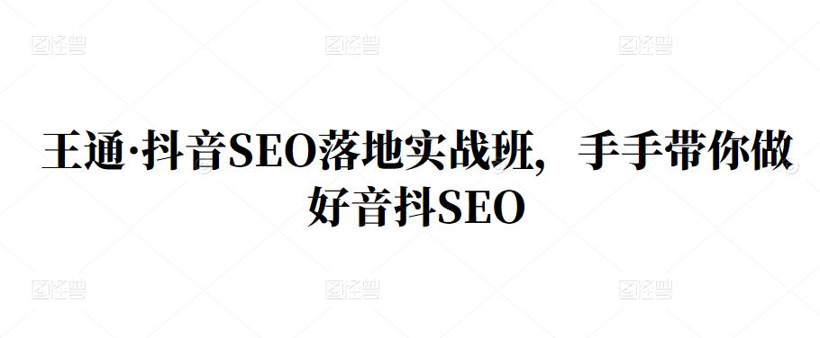 王通·抖音SEO落地实战班，手‬手带你做好音抖‬‬SEO-搜易资源网