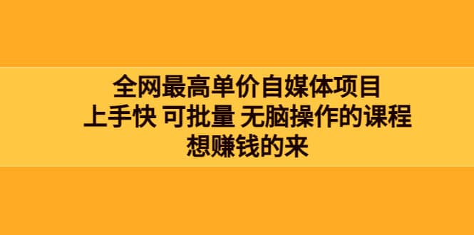 全网最单高价自媒体项目：上手快 可批量 无脑操作的课程，想赚钱的来-搜易资源网